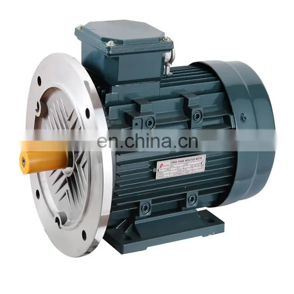 Factory Directly Sell y2 90l 4 Three Phase Motor photo-6