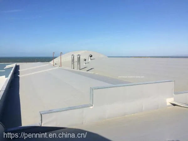 Hot Sale PVC Waterproofing Membrane Roofing Sheets Basement Material Single-ply Grey/white Weldable photo-4