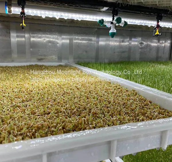 40HQ Hydroponic Fodder System Container Farmhydroponic Growing Systems Shipping Container Hydroponic System photo-4