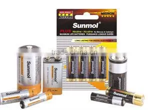 D/C/AA/AAA/9V Zinc Carbon Battery