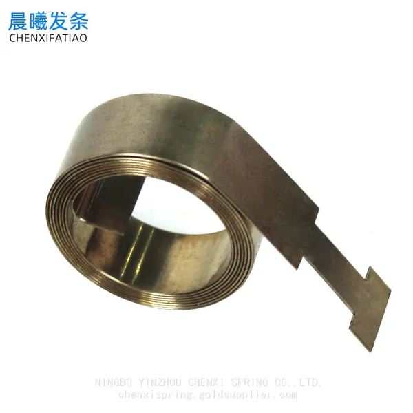 Stainless Steel Constant Force Spring for Boosters Fittings photo-5