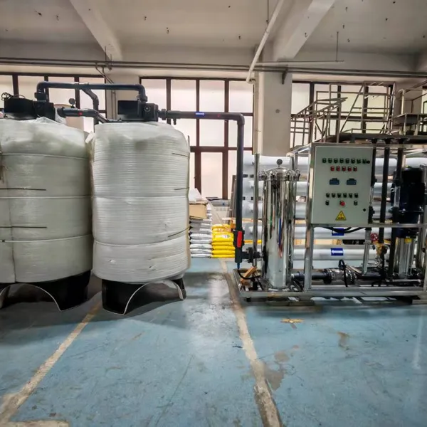 10T Pure Water CIP RO Water Treatment Plant for Drinking Water