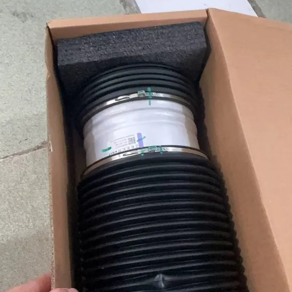 Zeekr 001 Rear Air Spring