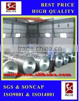 Galvanized Steel Coils /gi