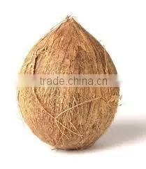 Fresh Semi Coconuts
