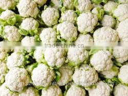 Fresh Cauliflower Exporters/gobi Suppliers in India/fresh Vegetables Export