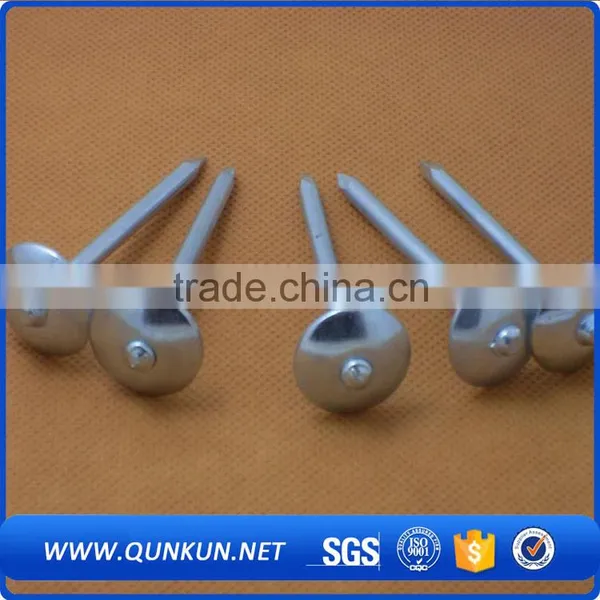 Cement Nails Roofing Coil Nail