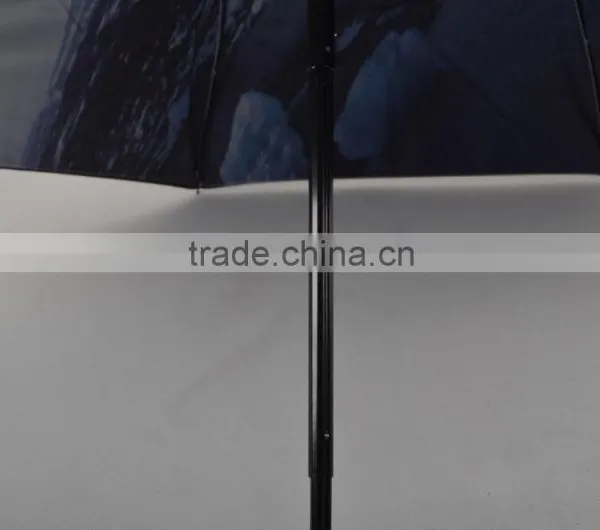 Advertising Logo Printed Umbrella Prices,umbrella Printed Inside Quality Choice photo-4
