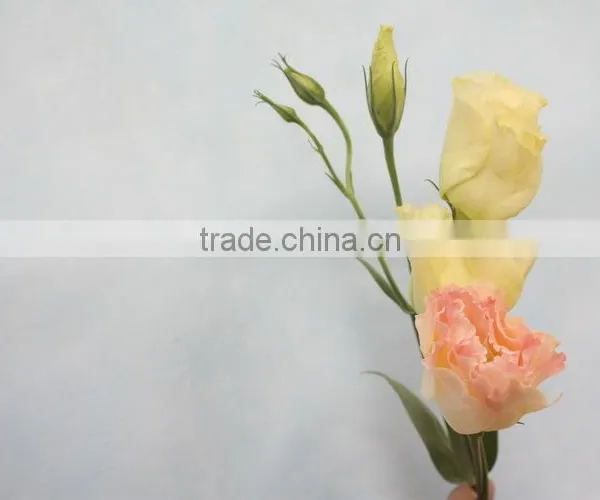 Fresh Top Sell Wholesale Fresh Lisianthus Flower photo-6