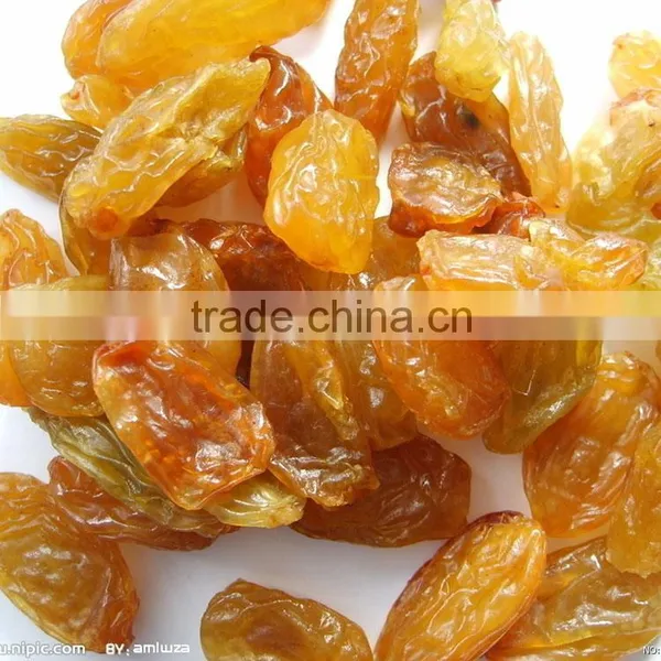 2015 New Crop Golden Raisins photo-4