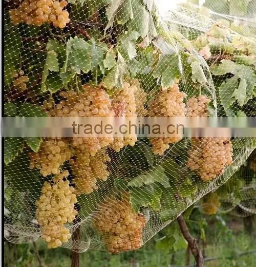 100% Virgin Pure HDPE Anti-hail Net photo-3