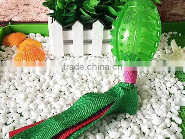 Wholesale Pet Shop Toy photo-3