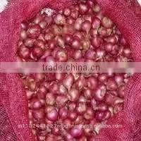 Small Onins/indian Shallot/south Indian Small Onions/sambar Onion/shallot Exporters/small Onion Exporters