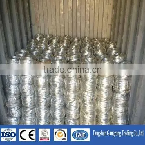 Galvanized Cut Wire Wholesale Price photo-6