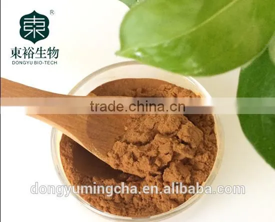 Organic Green Tea Extract for Food Supplements 98% /90%/ 80% Polyphenols photo-2