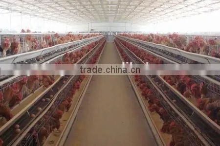 agricultural steel buildings steel structure design poultry farm shed