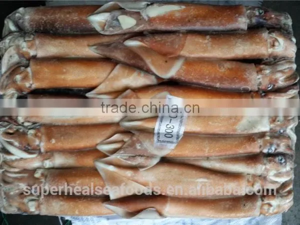 Frozen Argentina Illex Squid photo-3