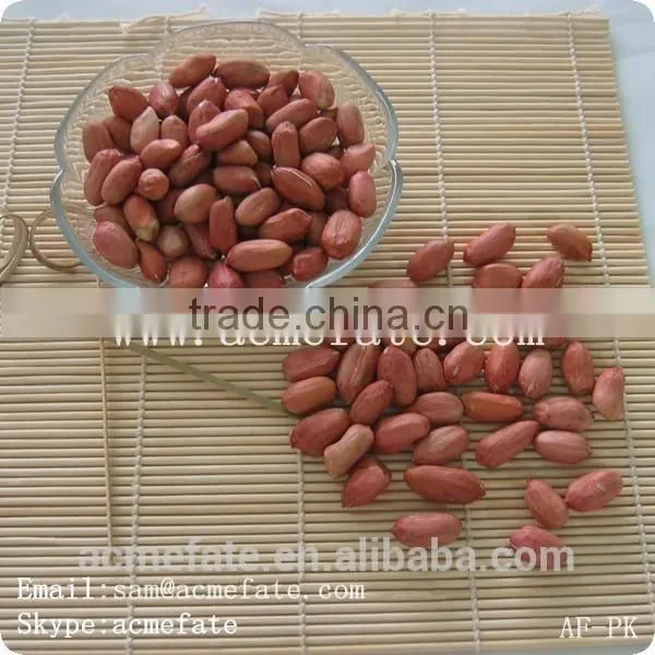 Chinese HACCP Certification Long Type Blanched Red Skin Peanut Kernels photo-4