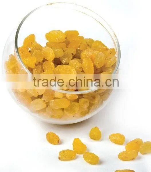 INDIAN ORIGIN QUALITY SEEDLESS GOLDEN RAISIN photo-4