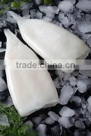 Frozen Clean Squid Tubes or Rings