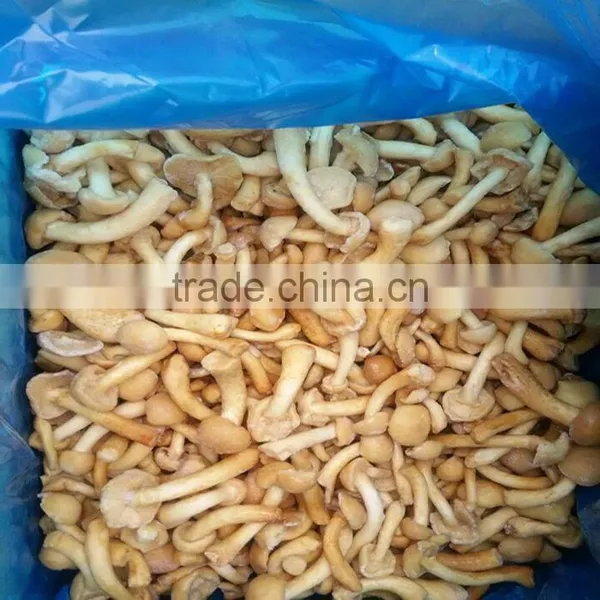 Frozen mushroom cultivated nameko
