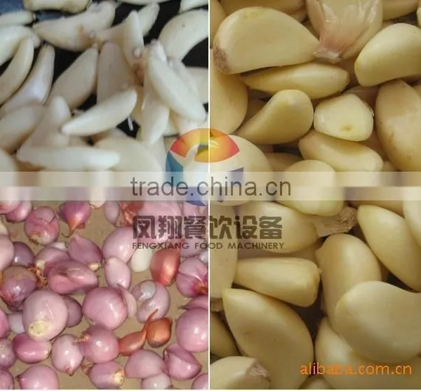 New Condition Industrial Type Electric Drived Garlic Peeler Machine / Small Onion Shelling Machine / With CE photo-4