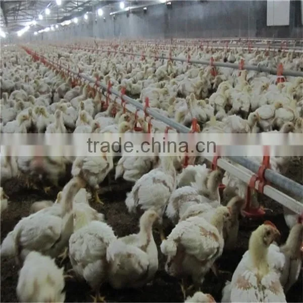 Automatic Chicken Feeder Pan Equipment photo-5