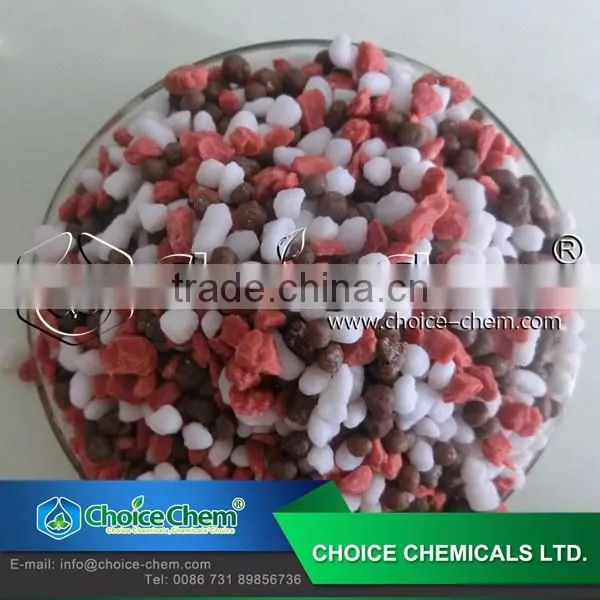 Custmized 100% Water Solubility NPK Compound Powder Fertilizer photo-3