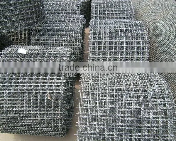 Crimped Wire Mesh photo-4