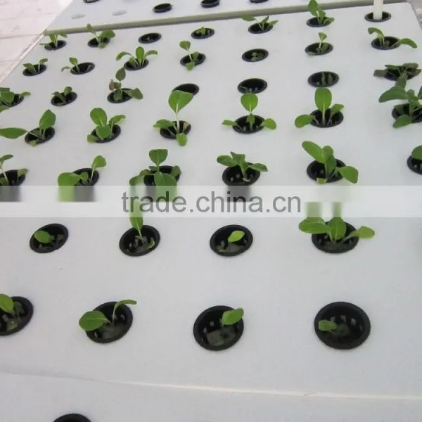 High Quality Lower Energy Plastic Water Trays Flow Rolling Bench for Growing photo-5