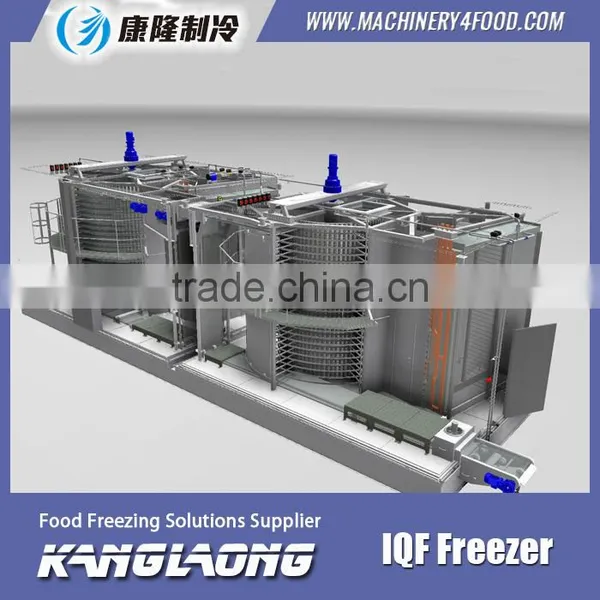2000Kg/H Spiral IQF Freezer 1000 Made In China photo-2
