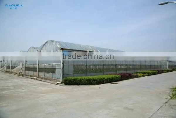 Plastic Film Tunnel Greenhouse photo-5