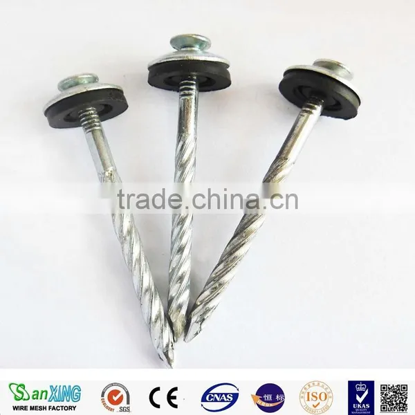 Q195 Umbrella Head Twist Shank Roofing Nails photo-6