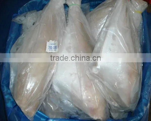 Frozen Leather Jacket Fish Whole photo-4