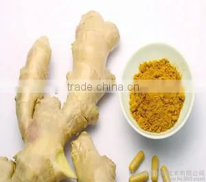 Ginger extract, Ginger root extract, Ginger extract powder