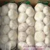 Normal White Garlic photo-2