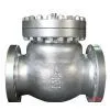 Swing Check Valve