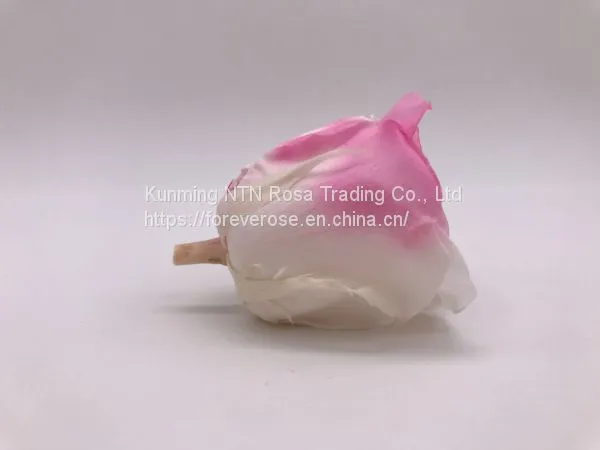 Preserved Rose Preserved Flowers Dried Flowers Birthday Valentine Party Wedding photo-2