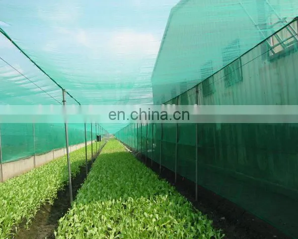 Anti Insect Net to Thailand, Insect Proof Net, Greenhouse Insect Net photo-3