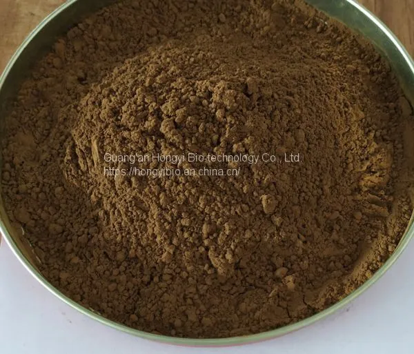 Polygonum Cuspidatum Extract Herbal Plant Extract Resveratrol