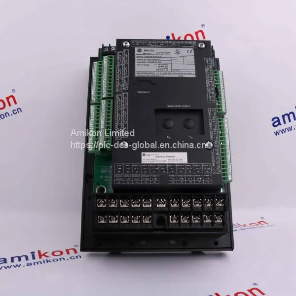 NEW GE IC600BF810RR 115V Isolated Input Module (6 points)