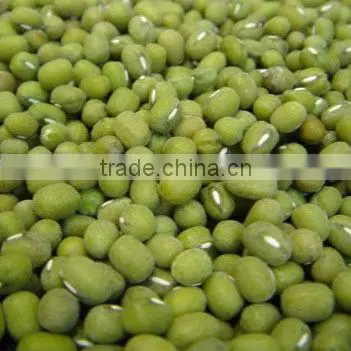 Yellow Mung Bean photo-3