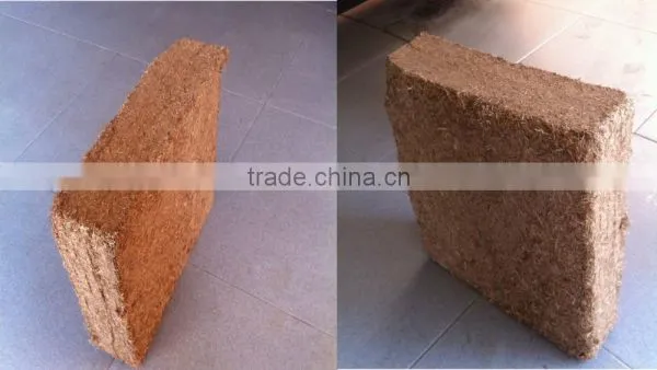 Sell Unfermented Bagasse With Cheap Price