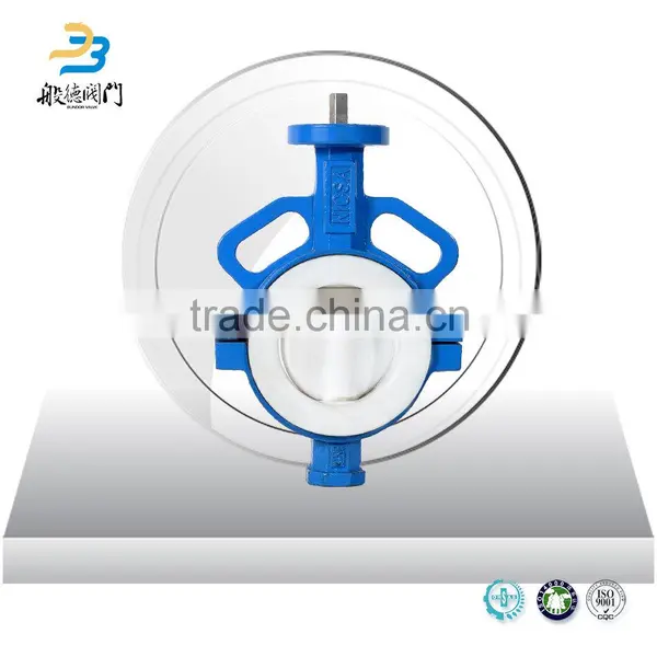 Dn200 Anti-corrosion Casting Iron Ductile Iron Epdm Wafer Type Pneumatic Operated Butterfly Valve photo-6
