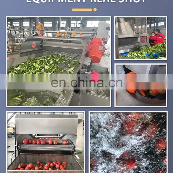 SUS 304/ 316 Commercial Vegetable Cleaning Dehydrating Processing Line With CE photo-2