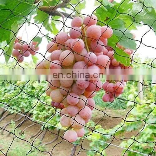 High Quality Nylon Mist Bird Nets photo-4