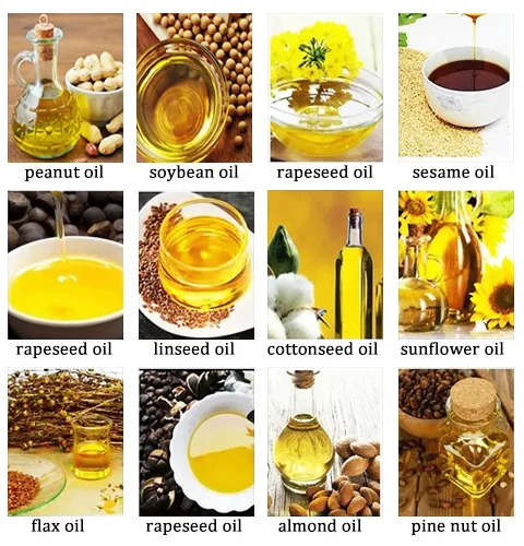 Cold Hydraulic Walnut Avocado Coconut Linseed Oil Processing Machine Oil Extractor Oil Making Machine Oil Press Machine photo-3