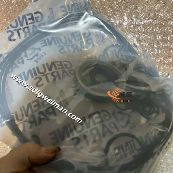 Hyundai SEAL KIT SWING MOTOR 39Q6-11700 for Hyundai Excavator R235LCR-9 photo-3