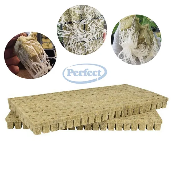 Hydroponic Rock Wool Cube Water Retention for Hydroponic Seedlings