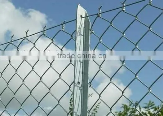 Galvanised /PVC Coated Chain Link Fence